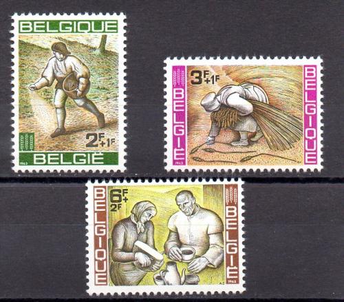 Bélgica Año 1963 Nº Yvert 1243/45 (**)